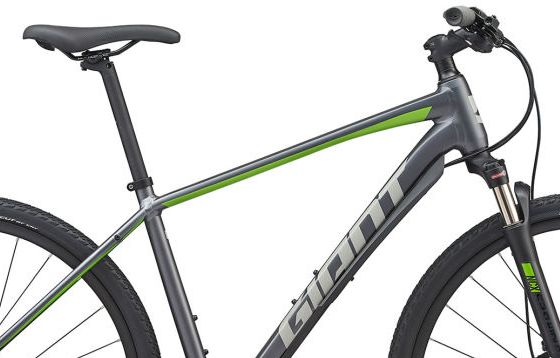 giant roam 1 disc 2020