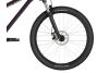 Rower DIRT KELLYS Whip 10 2021 Purple